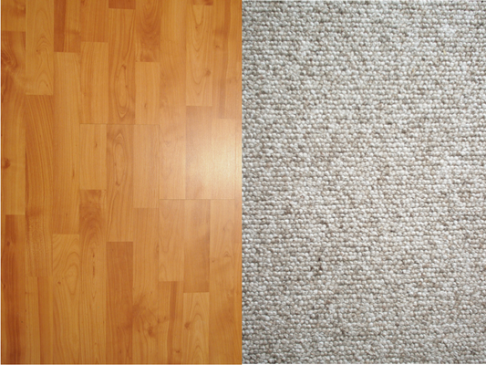 Living Room Limbo: Carpet or Wood Flooring?
